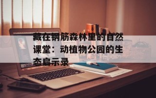 藏在钢筋森林里的自然课堂：动植物公园的生态启示录