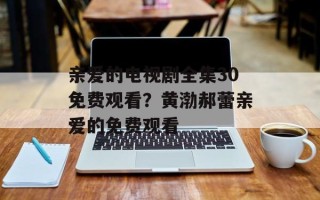 亲爱的电视剧全集30免费观看？黄渤郝蕾亲爱的免费观看