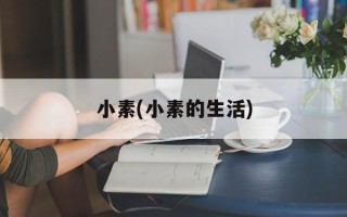 小素(小素的生活)