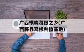 广西横峰葛根之乡(广西藤县葛根种植基地)