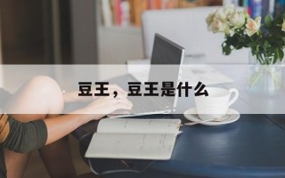 豆王，豆王是什么