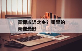 青稞成语之乡？哪里的青稞最好
