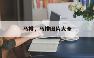 马排，马排图片大全