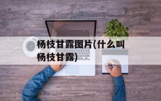 杨枝甘露图片(什么叫杨枝甘露)