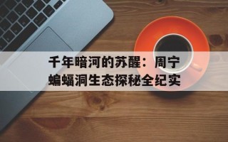 千年暗河的苏醒：周宁蝙蝠洞生态探秘全纪实