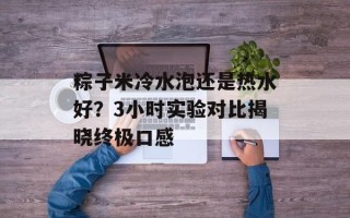 粽子米冷水泡还是热水好？3小时实验对比揭晓终极口感