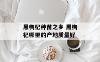 黑枸杞种苗之乡 黑枸杞哪里的产地质量好