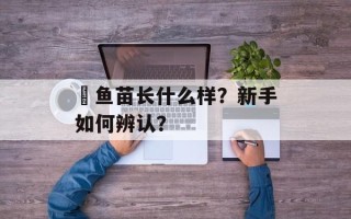 鳡鱼苗长什么样？新手如何辨认？