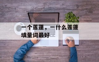 一个莲蓬，一什么莲蓬填量词最好