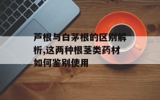 芦根与白茅根的区别解析,这两种根茎类药材如何鉴别使用