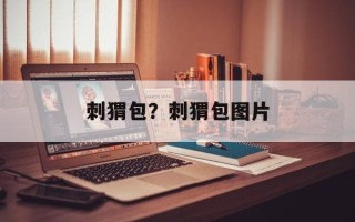 刺猬包？刺猬包图片