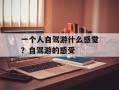 一个人自驾游什么感觉？自驾游的感受