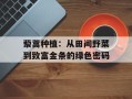 藜蒿种植：从田间野菜到致富金条的绿色密码