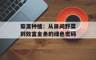 藜蒿种植：从田间野菜到致富金条的绿色密码