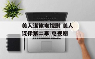 美人谋律电视剧 美人谋律第二季 电视剧