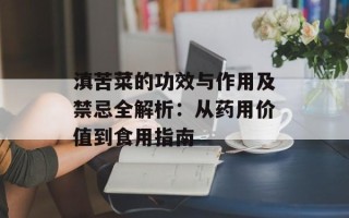 滇苦菜的功效与作用及禁忌全解析：从药用价值到食用指南