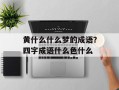黄什么什么梦的成语？四字成语什么色什么