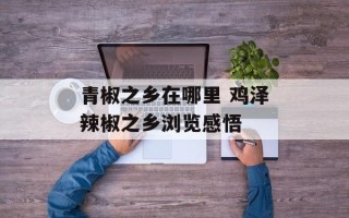 青椒之乡在哪里 鸡泽辣椒之乡浏览感悟
