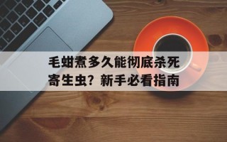 毛蚶煮多久能彻底杀死寄生虫？新手必看指南