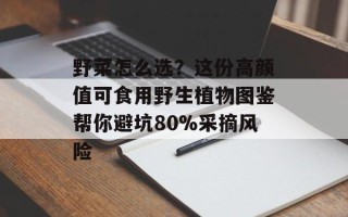 野菜怎么选？这份高颜值可食用野生植物图鉴帮你避坑80%采摘风险