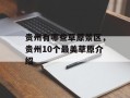 贵州有哪些草原景区，贵州10个最美草原介绍