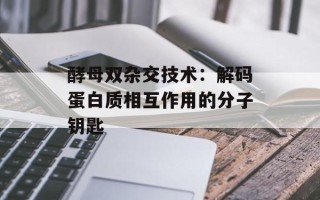 酵母双杂交技术：解码蛋白质相互作用的分子钥匙