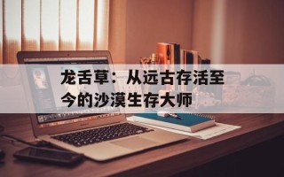 龙舌草：从远古存活至今的沙漠生存大师