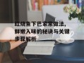 红烧鱼下巴家常做法,鲜嫩入味的秘诀与关键步骤解析