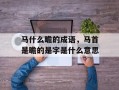 马什么瞻的成语，马首是瞻的是字是什么意思