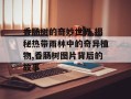 香肠树的奇妙世界,揭秘热带雨林中的奇异植物,香肠树图片背后的故事