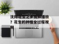 沈阳花生之乡视频播放？花生的种植全过程视频