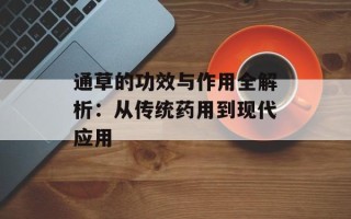 通草的功效与作用全解析：从传统药用到现代应用