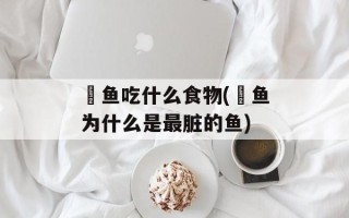 鮰鱼吃什么食物(鮰鱼为什么是最脏的鱼)