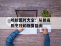 鸡胗图片大全：从挑选到烹饪的视觉指南