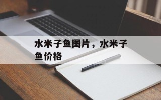 水米子鱼图片，水米子鱼价格