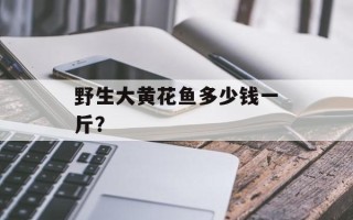 野生大黄花鱼多少钱一斤？