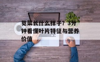 苋菜长什么样子？3分钟看懂叶片特征与营养价值