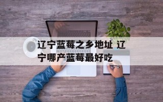 辽宁蓝莓之乡地址 辽宁哪产蓝莓最好吃