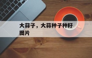 大蒜子，大蒜种子种籽图片