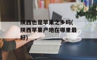 陕西也是苹果之乡吗(陕西苹果产地在哪里最好)