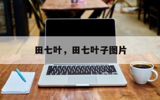 田七叶，田七叶子图片