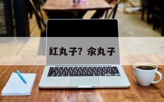 红丸子？汆丸子