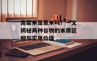 高粱米是薏米吗？一文揭秘两种谷物的本质区别与实用价值