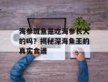 海参斑鱼是吃海参长大的吗？揭秘深海鱼王的真实食谱