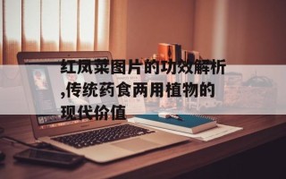 红凤菜图片的功效解析,传统药食两用植物的现代价值