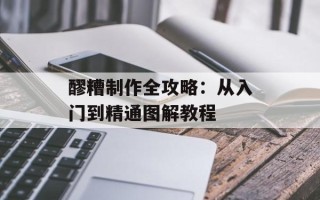 醪糟制作全攻略：从入门到精通图解教程