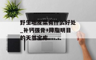 野生地皮菜有什么好处_补钙强骨+降脂明目的天然宝库