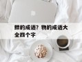 鳏的成语？物的成语大全四个字