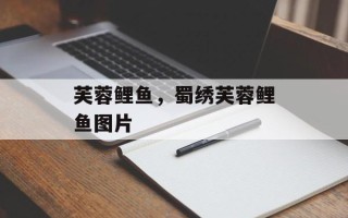 芙蓉鲤鱼，蜀绣芙蓉鲤鱼图片