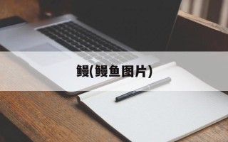 鳗(鳗鱼图片)